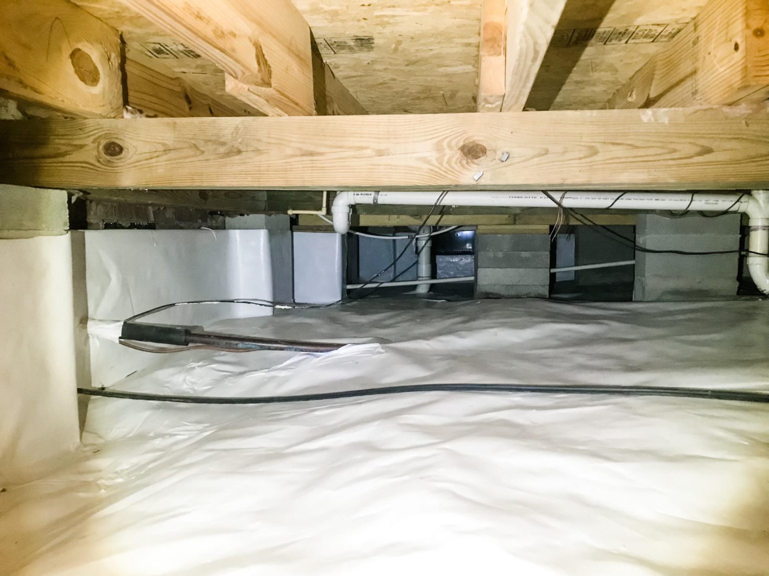 Crawlspace Moisture & Foundation Repair | Back Bay Pest