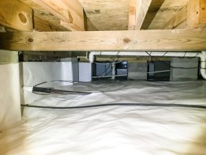 Encapsulation 20 mil liner and foam board on walls