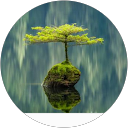10carbkim profile picture